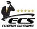 Limo servis Executive car service doo